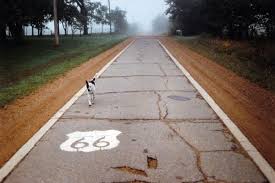 Route 66 Podcast Shellee Graham Dog on Road